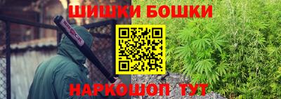 прущие грибы Партизанск