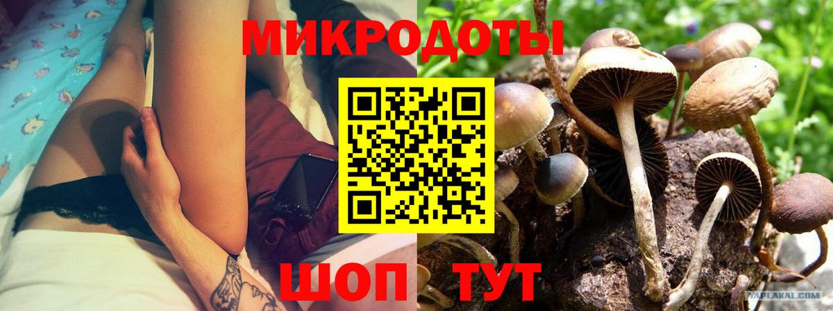 Псилоцибиновые грибы Psilocybine cubensis Скопин