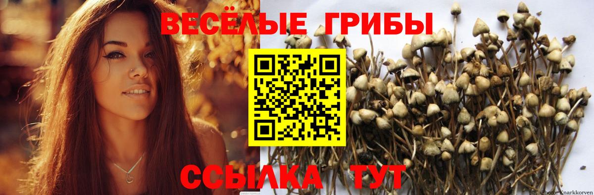 Псилоцибиновые грибы мухоморы  где купить наркотик  Скопин  Вход с VPN 
